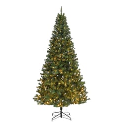 Celebrations 9 ft. Full LED 600 lights Spruce Christmas Tree