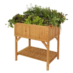 VegTrug 22 in. H X 31 in. W X 30 in. D Cedar Raised Garden Bed Natural