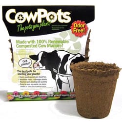 CowPots 1 Cells 3.38 in. H X 3.25 in. W X 2.25 in. L Seed Starting Pot 12 pk