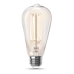 Feit ST19 E26 (Medium) Filament LED Bulb Soft White 40 Watt Equivalence 2 pk