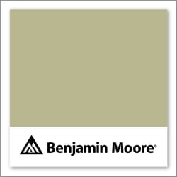Benjamin Moore Lewiville Green 494