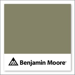 Benjamin Moore Springfield Sage 510