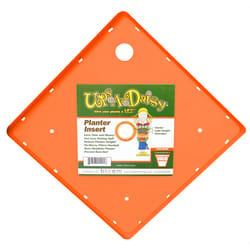 Bloem Ups-A-Daisy Orange Plastic 1 in. H Plant Insert 1 pk
