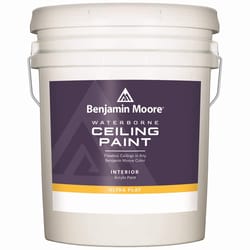 Benjamin Moore Waterborne Ceiling Paint Flat White Ceiling Paint Interior 5 gal