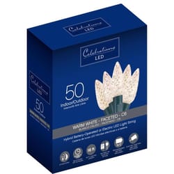 Celebrations Blue LED C6 Warm White 50 ct String Christmas Lights 16 ft.