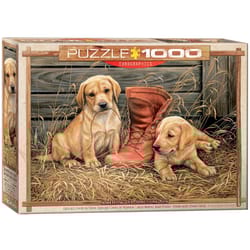 Eurographics Something Old Something New Jigsaw Puzzle Multicolored 1000 pc