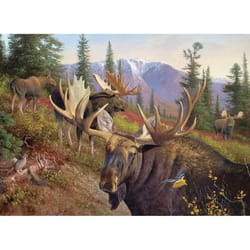 Eurographics The Gathering Jigsaw Puzzles Multicolored 1000 pc