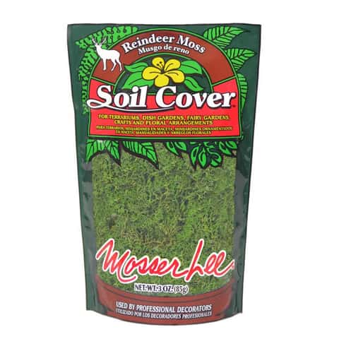 Mosser Lee 3 oz. Reindeer Moss in Dark Green Mosser Lee 3 oz. Reindeer Moss in Dark Green