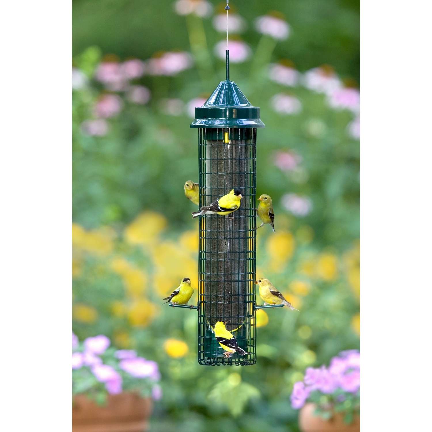 Brome Bird Care SquirrelBuster 1.4 lb Metal/Plastic Bird Feeder 8 ports ...