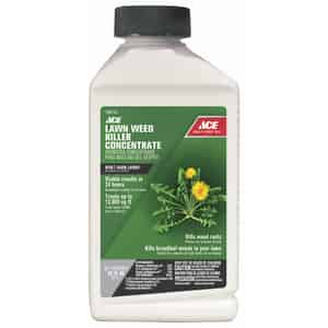 Ace  Concentrate  Lawn Weed Killer  32 oz. 
