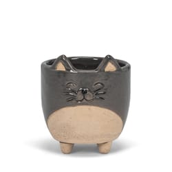 Abbott 3 in. H Stoneware Cat Planter Gray