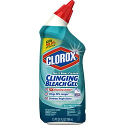 Clorox Cool Wave Scent Toilet Bowl Cleaner 24 oz Gel