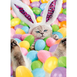 Avanti Seasonal Bunny Cat in Pool of Easter Eggs Easter Card Paper 2 pc