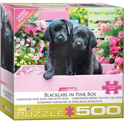 Eurographics Black Labs in Pink Box Jigsaw Puzzles Multicolored 500 pc