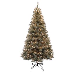 Celebrations 7 ft. Full Incandescent 400 lights Frosted Cashmere Christmas Tree