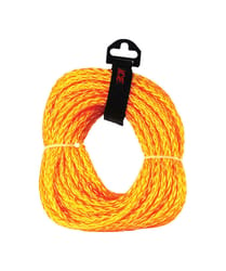 Ace 3/8 in. D X 50 ft. L Gold Braided Poly Rope