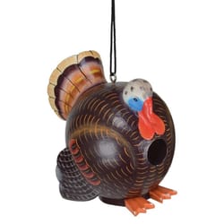 Songbird Essentials 8.5 in. H X 7.5 in. W X 5.5 in. L Wood Bird House