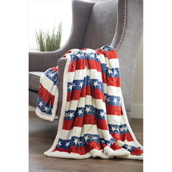Carstens Inc 54 in. W X 68 in. L Multicolored Polyester Throw blanket
