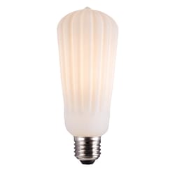 Globe Electric ST19 E26 (Medium) LED Bulb Soft White 4 Watt Equivalence 1 pk