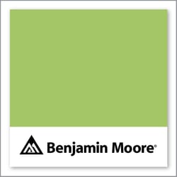 Benjamin Moore Springhill Green 412