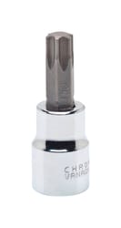 Crescent T50 in. X 3/8 in. drive 6 Point Standard Torx Bit Socket 1 pc