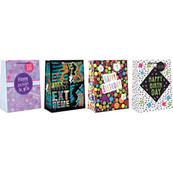 Paper Images Assorted Large Tween Birthday Gift Bag