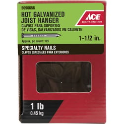 Ace 1-1/2 in. Joist Hanger Hot-Dipped Galvanized Steel Nail Round Head 1 lb
