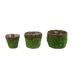 SuperMoss Deco Wire Vineyard Planter Set Green