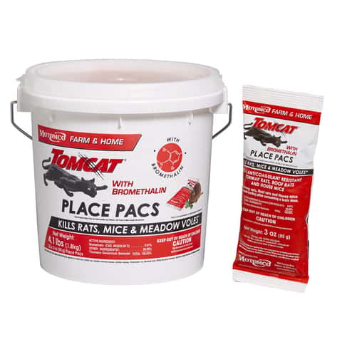 Drop In The Bucket, INC. Medium Multiple Catch Animal Trap For Mice/Voles/Ground  Squirrels/Rats 1 pk - Ace Hardware