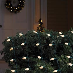 Celebrations LED C9 Warm White 70 ct Net Christmas Lights
