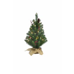 Celebrations 2 ft. Full Incandescent 35 ct Table Top Christmas Tree
