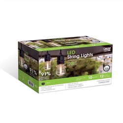 Feit LED Edison LED Light String Clear 20 ft. 10 lights