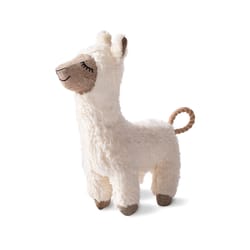 Pet Shop by Fringe Studio White Cotton Fleeced to Meet You Dog Toy 1 pk