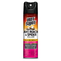 Hot Shot Ant and Roach Killer Aerosol 17.5 oz