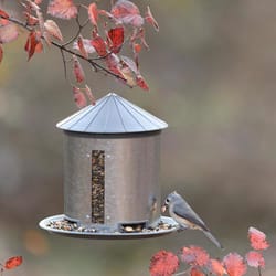 More Birds 7 lb. capacity Plastic/Steel Silo Hopper Bird Feeder