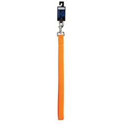 Boss Pet Casual Canine Orange Nylon Dog Leash Small