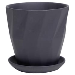 Chive Virago 3.3 in. D Ceramic Shape G Succulent Pot Black