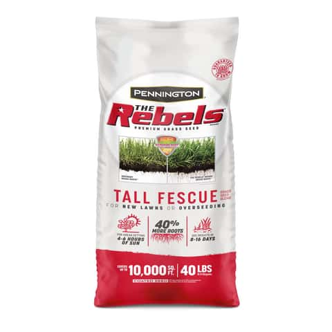 Pennington The Rebels Tall Fescue Grass Sun or Shade Grass Seed 40