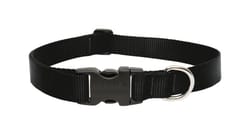 LupinePet Basic Solids Black Black Nylon Dog Adjustable Collar