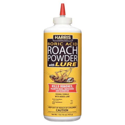  Detail King Bug Remover - One-Step, Fast Acting, All