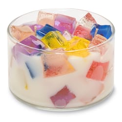 Primal Elements Multi-colored Cupcake Scent 2 Wick Candle