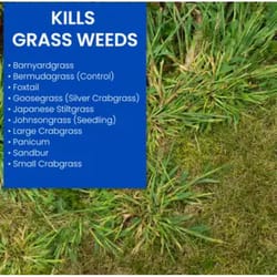 BioAdvanced Ready-to-Spray Crabgrass Killer RTS Hose-End Concentrate 32 oz