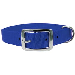 PDQ Blue Single Web Nylon Dog Adjustable Collar Medium