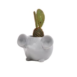 Chive Animal Planter 5 in. D Ceramic Mouse Succulent Pot Grey