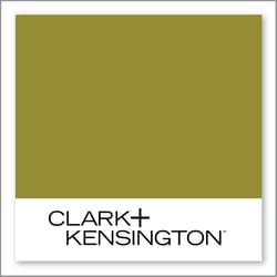 Clark+Kensington Cardamom 25C-7