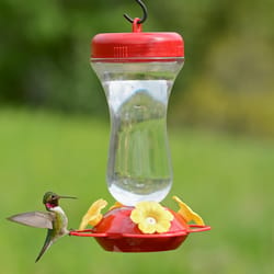 Perky-Pet Hummingbird 16 oz Glass/Plastic Nectar Feeder 4 ports