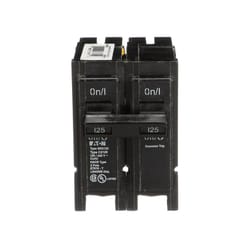 Eaton 125 amps Plug In 2-Pole Circuit Breaker