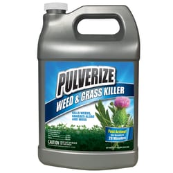 Pulverize Weed and Grass Killer RTU Liquid 1 gal