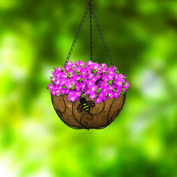 Panacea 8.37 H X 14 D Steel Bee-Conscious Hanging Basket Black