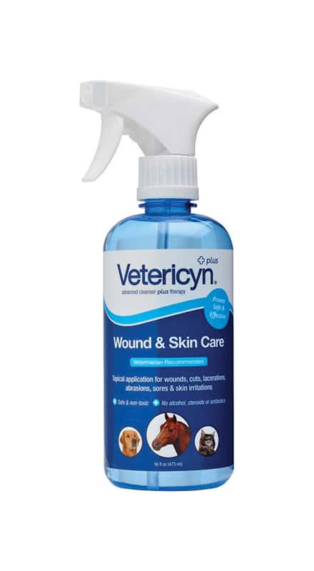 Vetericyn Collapsible Bucket - Vetericyn Animal Wellness